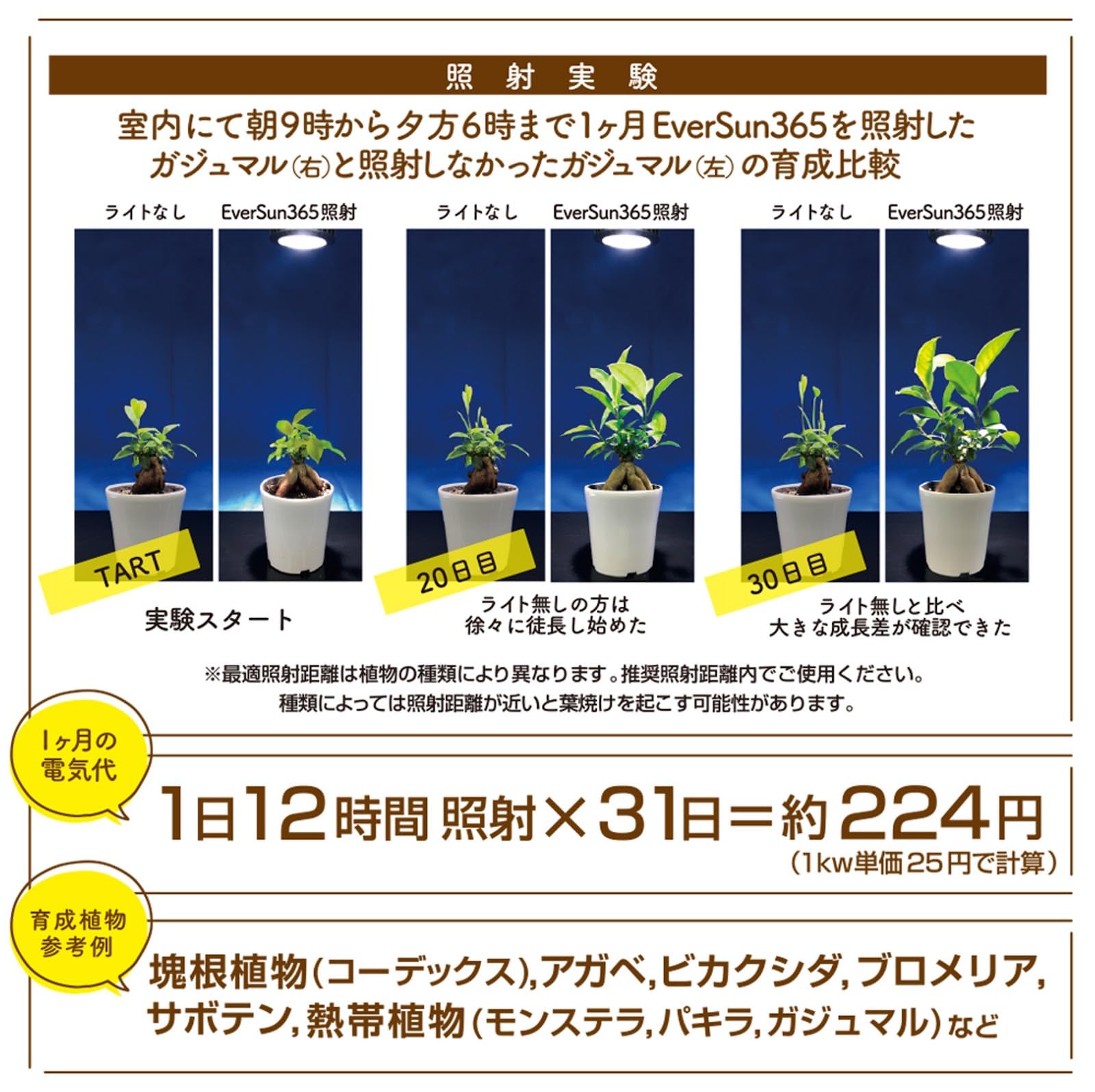 Amazon.co.jp: ゼンスイ EverSun 365 24W（エバーサン サンロクゴ